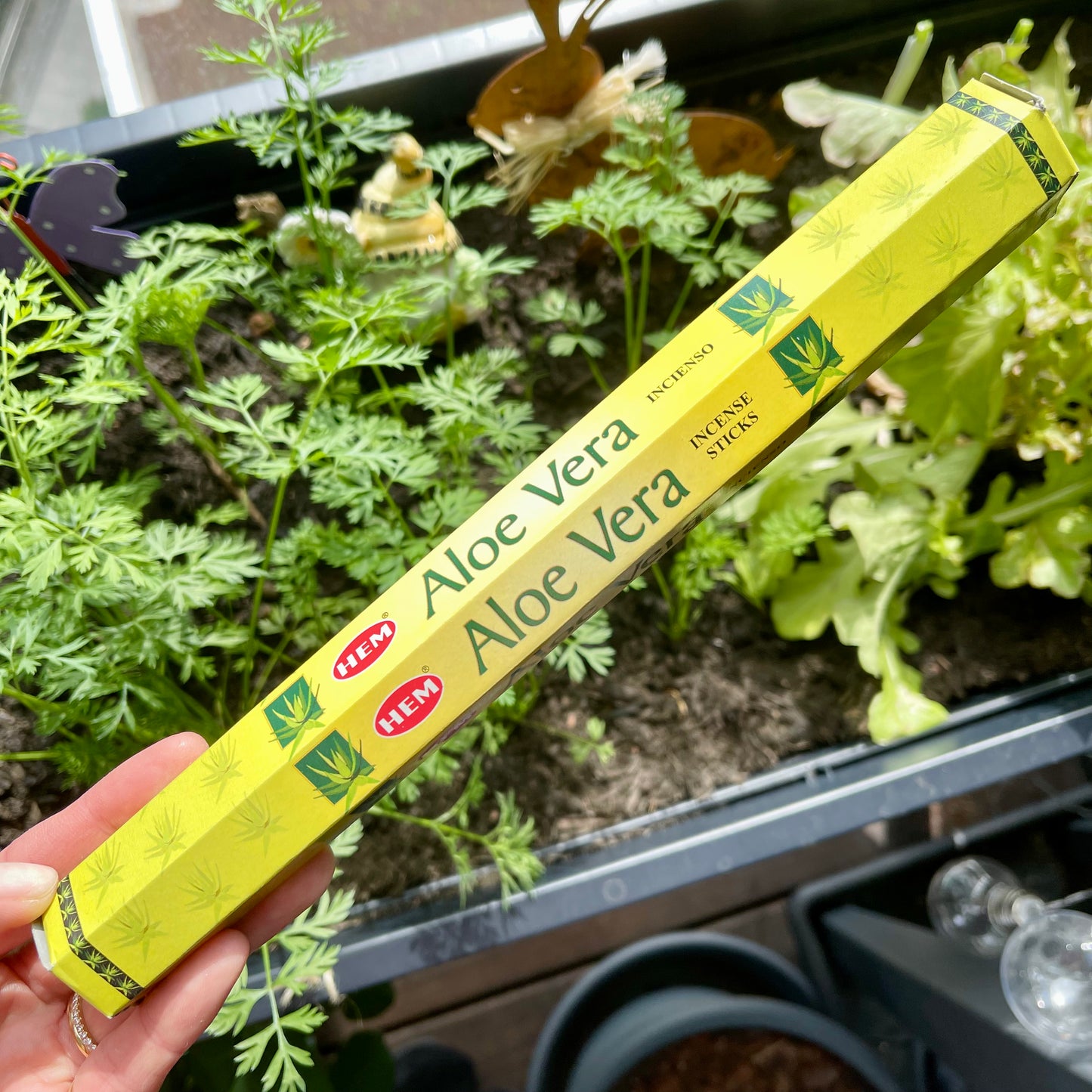 Aloe Vera incense