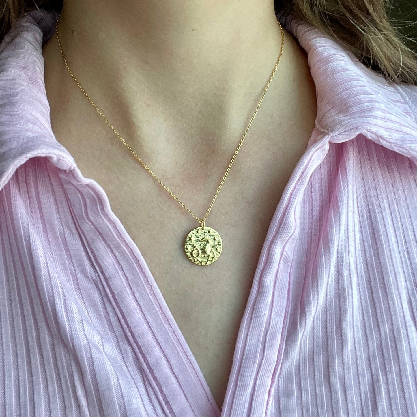 Zodiac Coin necklace
