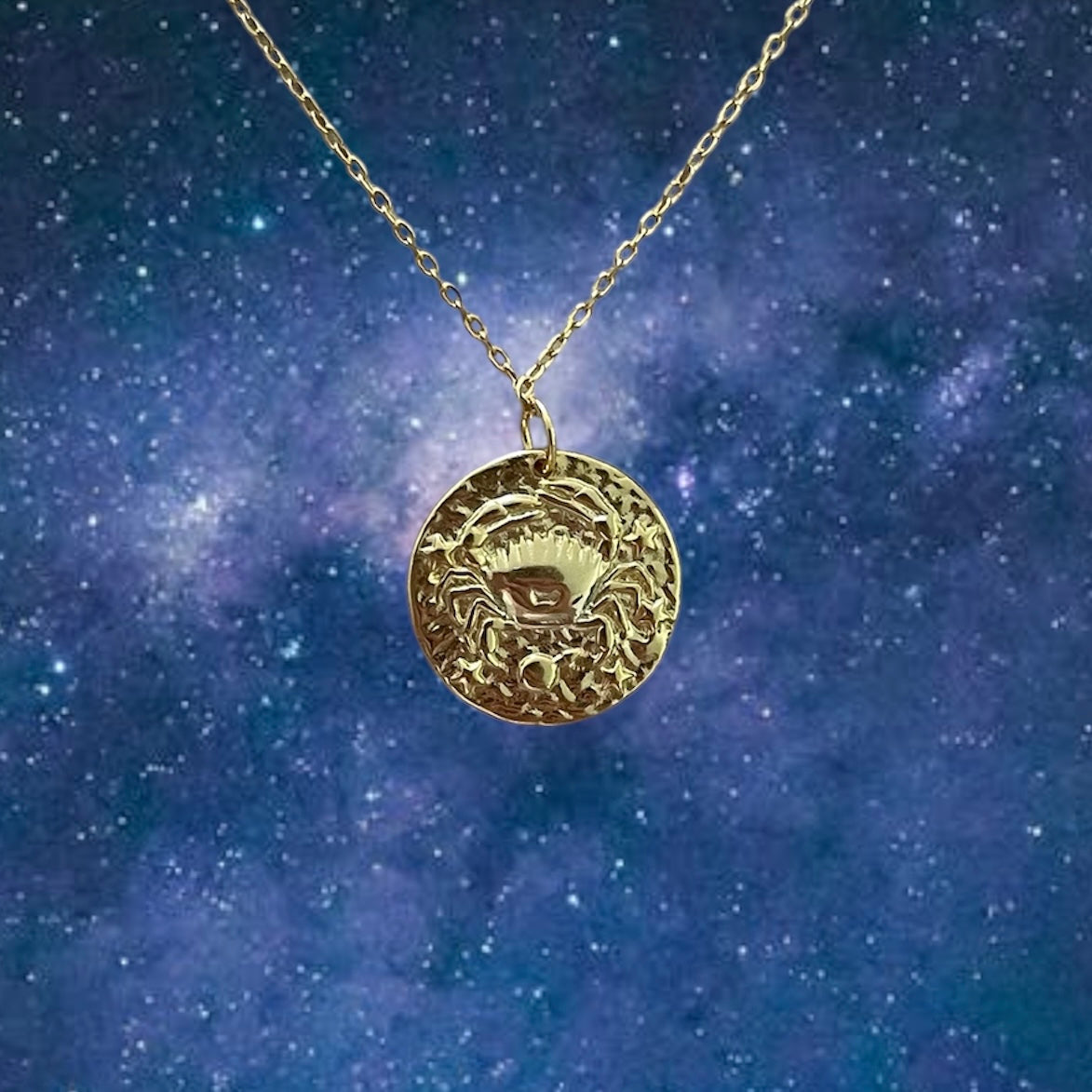 Zodiac Coin necklace