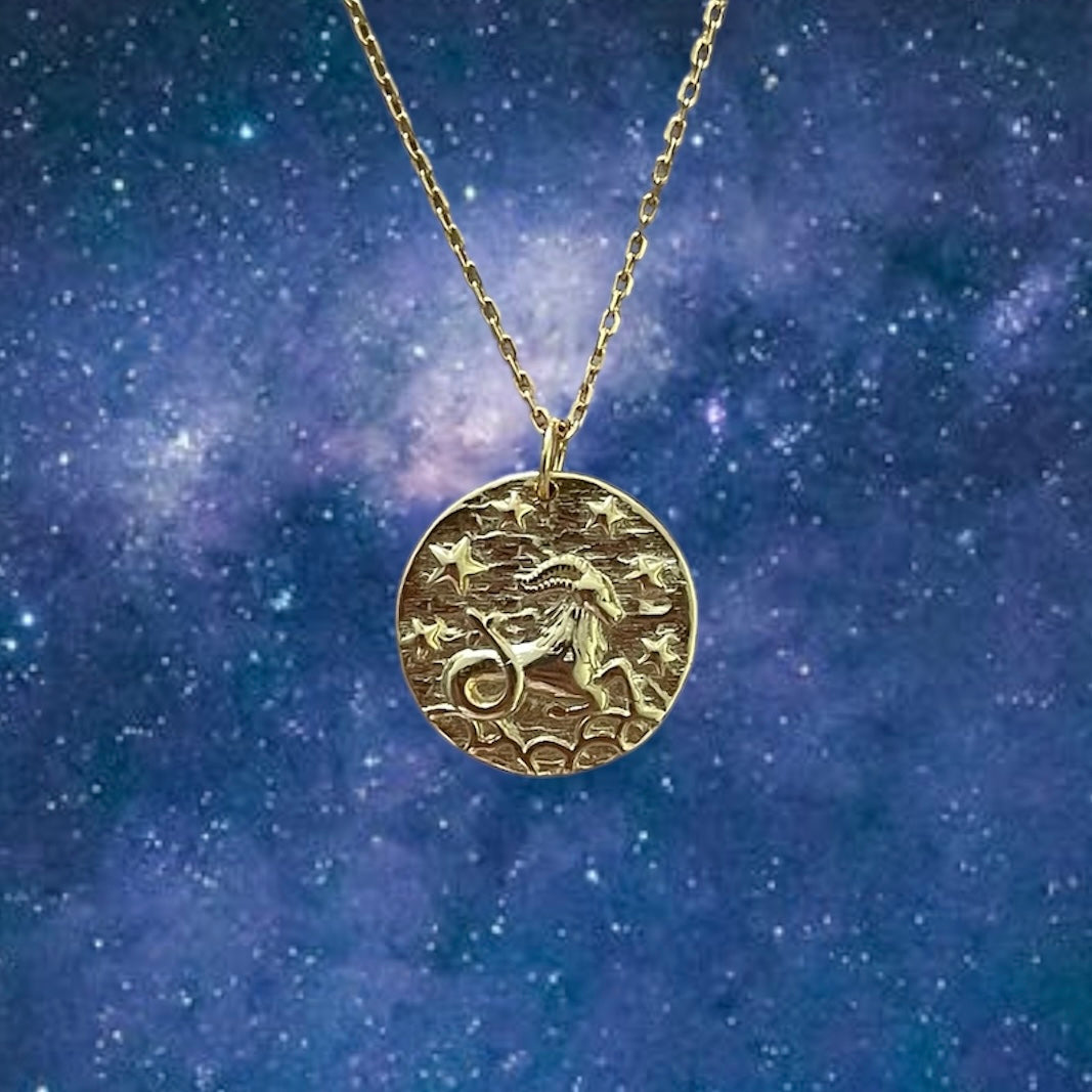 Zodiac Coin necklace