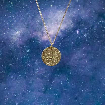 Zodiac Coin necklace