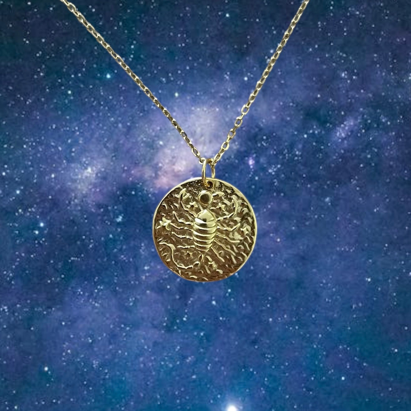 Zodiac Coin necklace