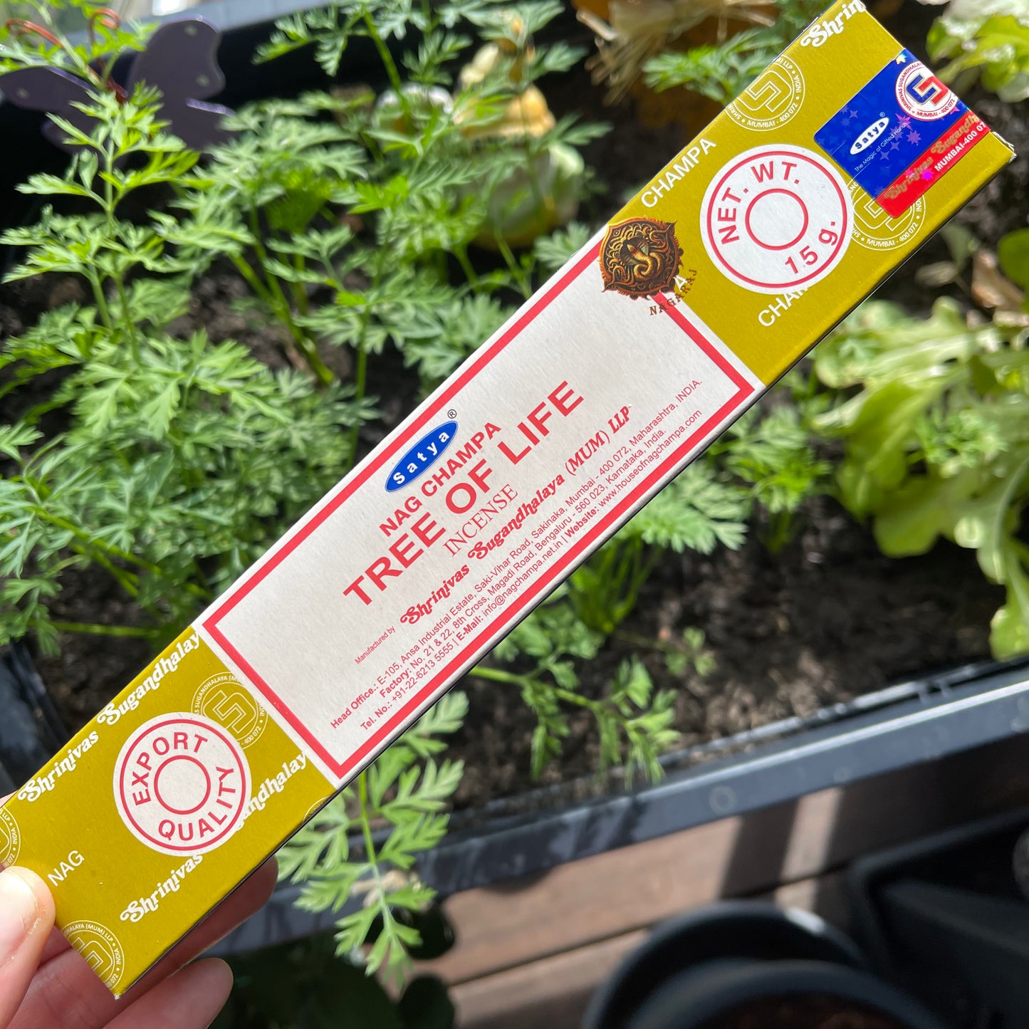 Tree of Life incense